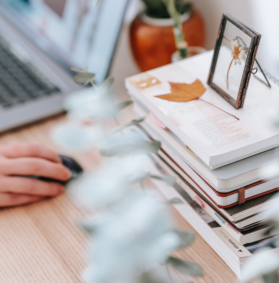 All is Well in the Woods