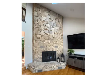 All is Well in the Woods