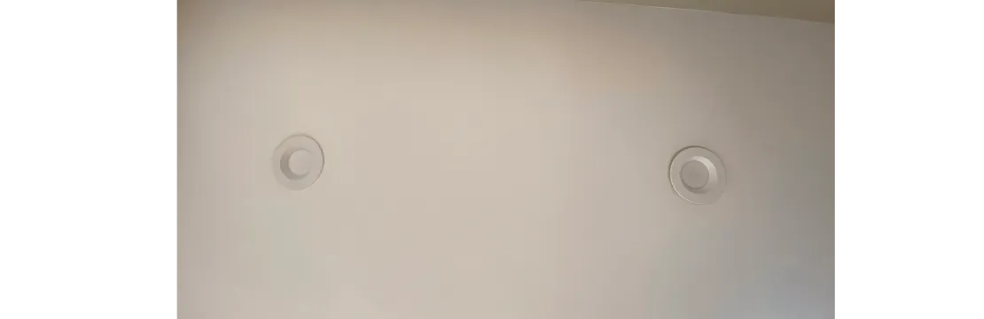 All is Well in the Woods