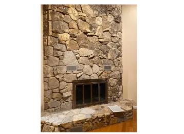 All is Well in the Woods