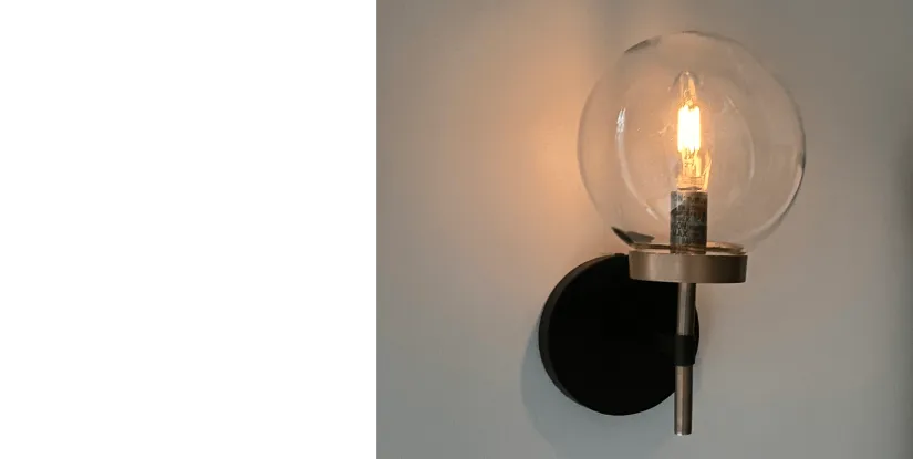 All is Well in the Woods