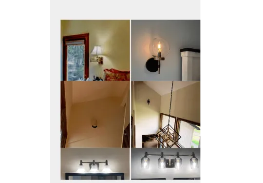 All is Well in the Woods