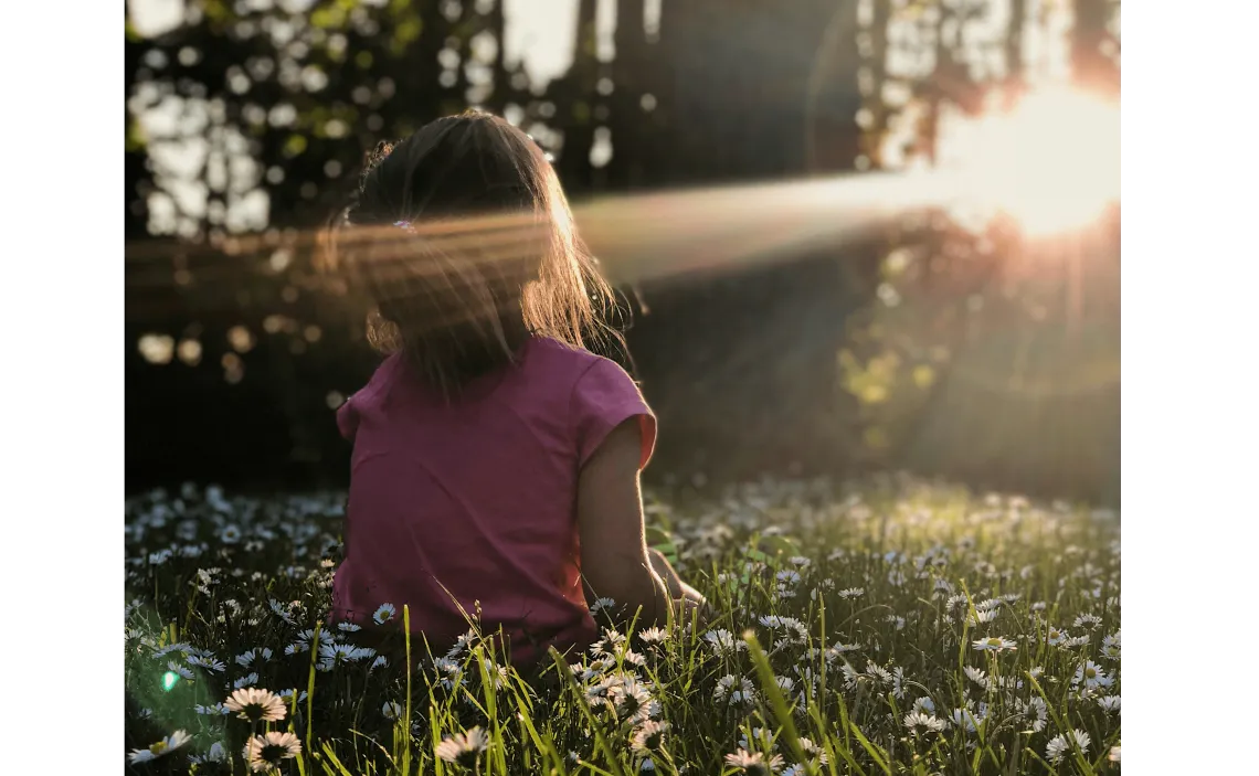 All is Well in the Woods