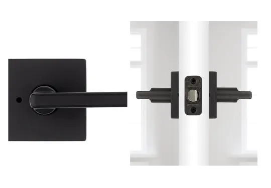 All is Well in the Woods