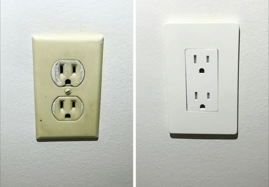 All is Well in the Woods