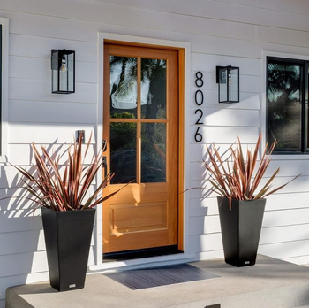 All is Well in the Woods