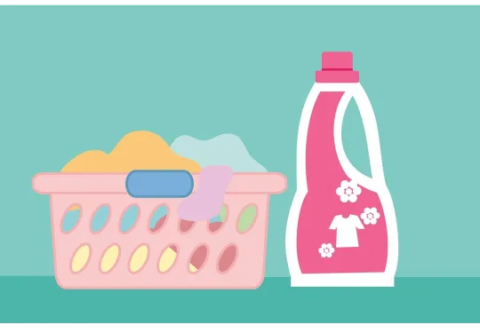 All is Well in the Woods