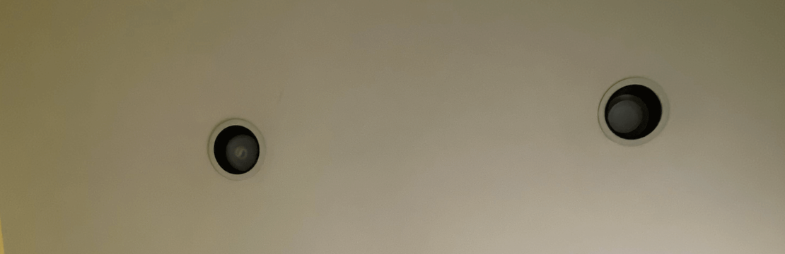 All is Well in the Woods